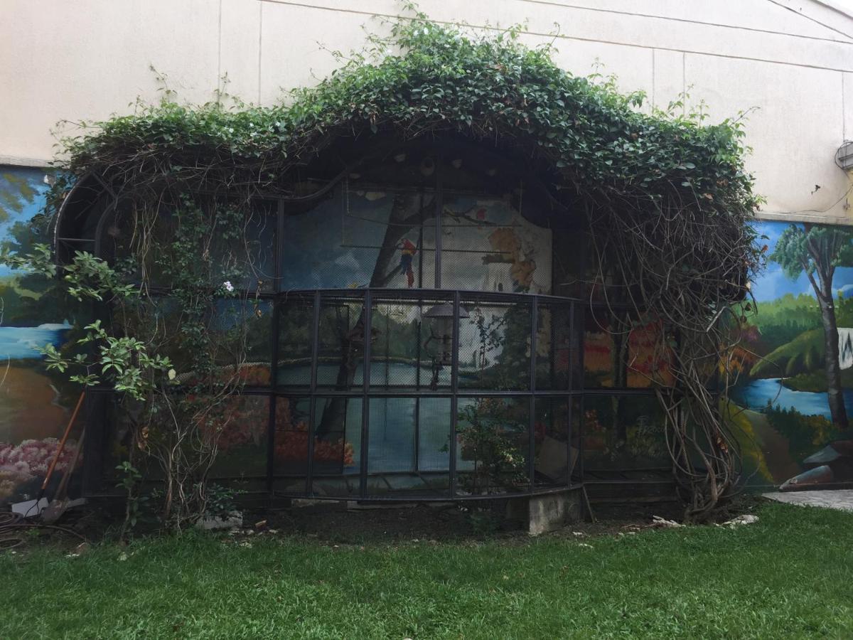 Casa Castillo קאלי מראה חיצוני תמונה